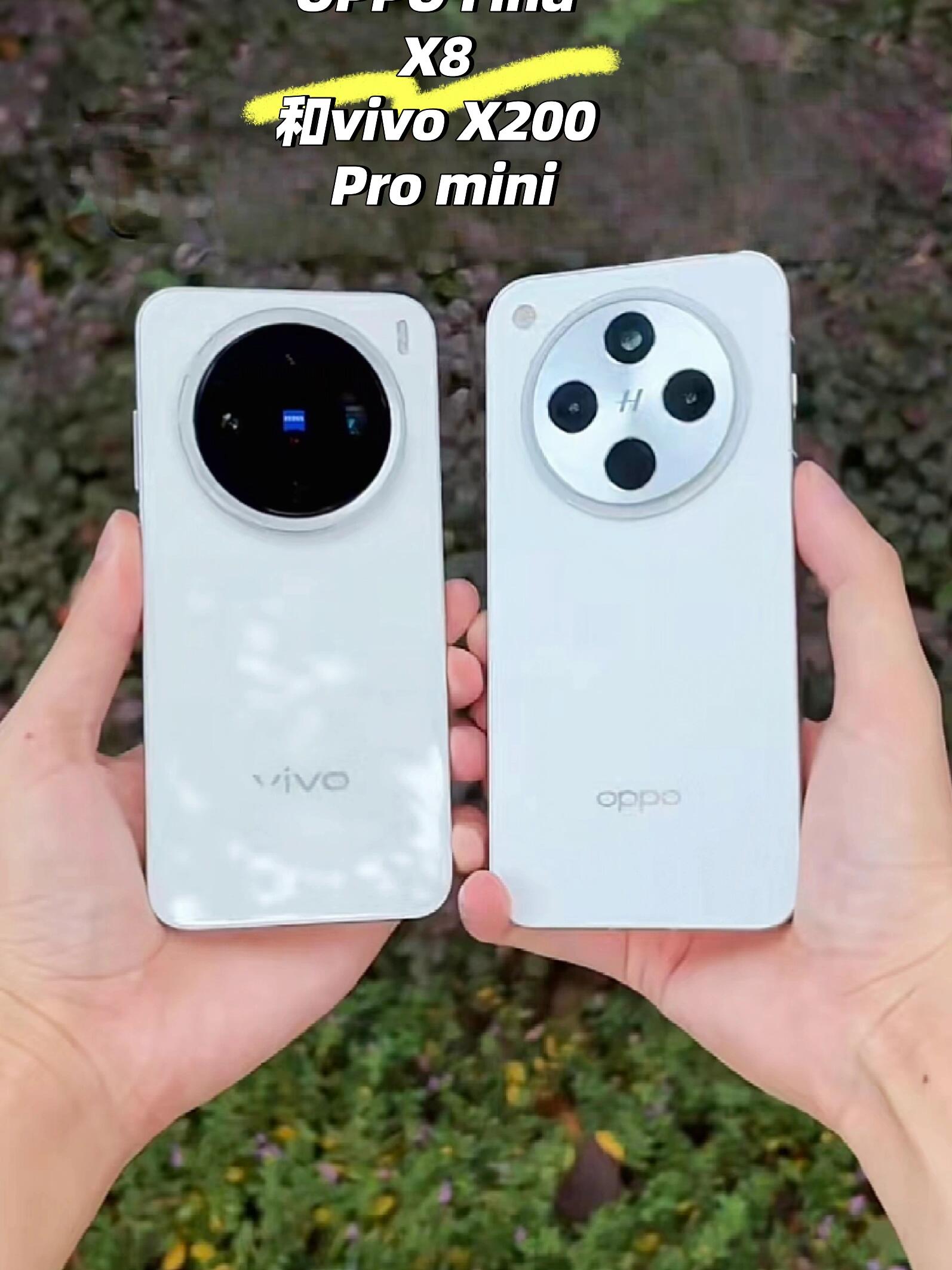 苹果版vivo(苹果版vivo互传)