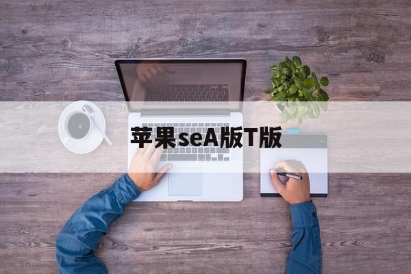 苹果seA版T版(苹果s版和t版有啥区别)-第4张图片-QuickQ官网