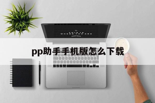 pp助手手机版怎么下载(pp助手怎么下载安装)-第4张图片-QuickQ官网