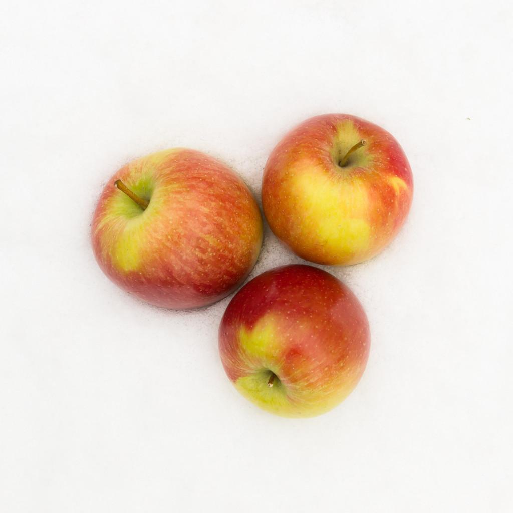 苹果荷兰版(荷兰苹果手机)-第5张图片-QuickQ官网 苹果荷兰版(荷兰苹果手机)-第5张图片-QuickQ官网