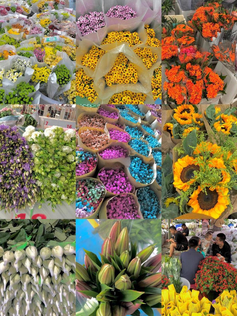 万能白菜价手机版的简单介绍