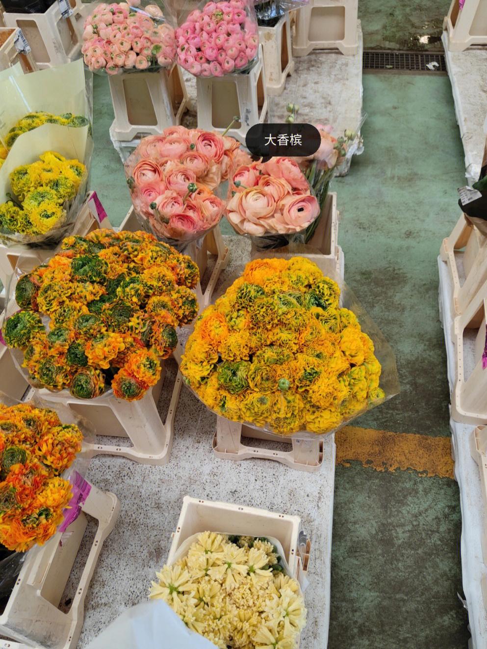 万能白菜价手机版的简单介绍-第4张图片-QuickQ官网 万能白菜价手机版的简单介绍-第4张图片-QuickQ官网