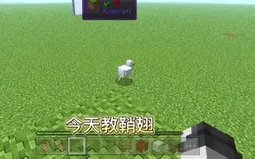 我的世界手机版着色器(我的世界手机版着色器怎么用)-第2张图片-QuickQ官网