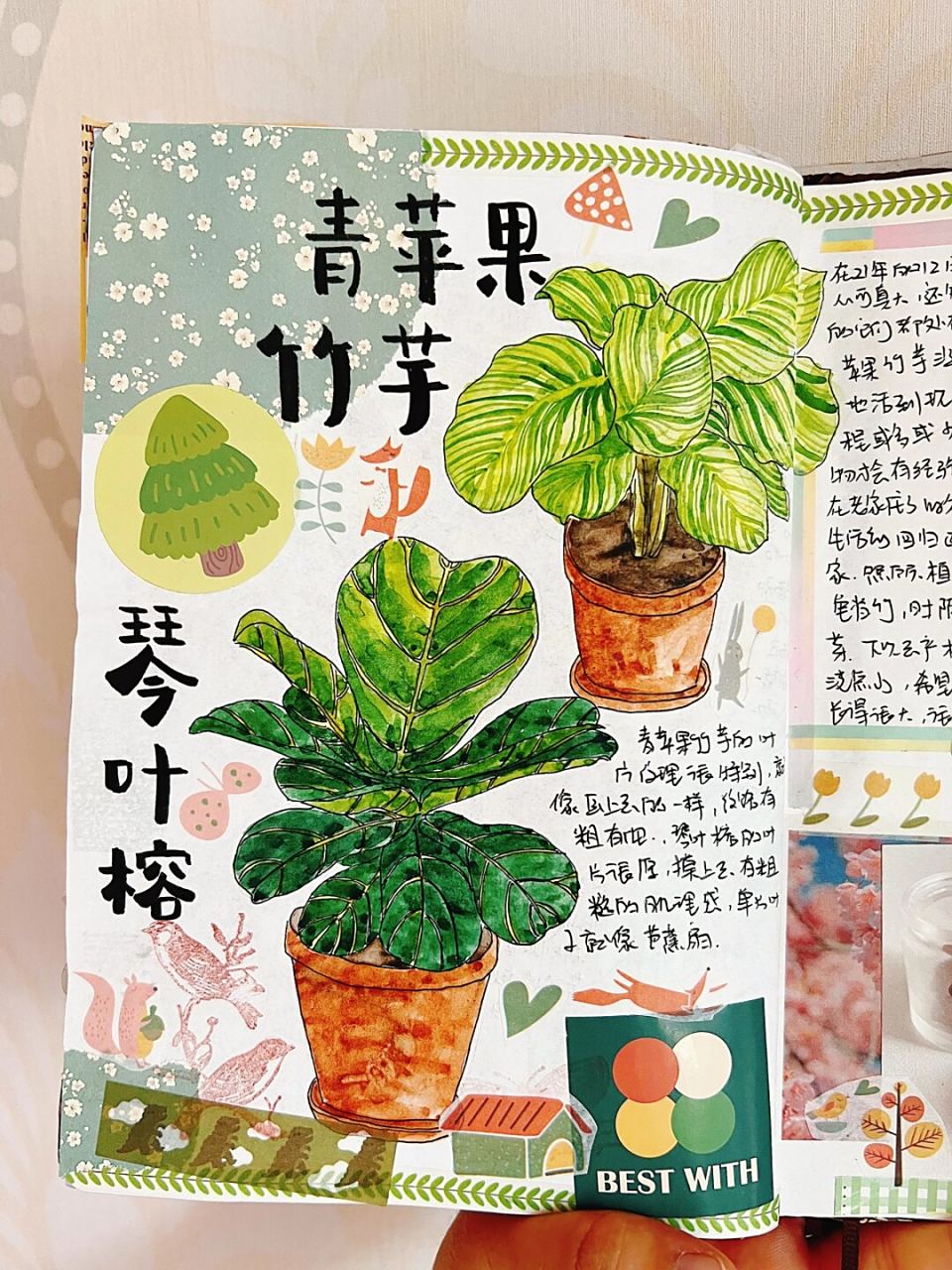 包含青苹果日记手机版下载的词条-第4张图片-QuickQ官网 包含青苹果日记手机版下载的词条-第4张图片-QuickQ官网